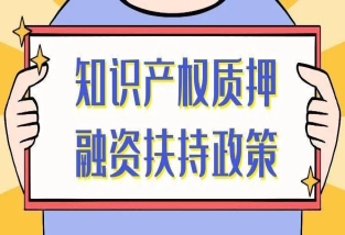 專(zhuān)利權(quán)質(zhì)押有哪些注意事項(xiàng)？