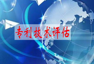 專(zhuān)利評(píng)估與價(jià)值評(píng)估報(bào)告的重要性